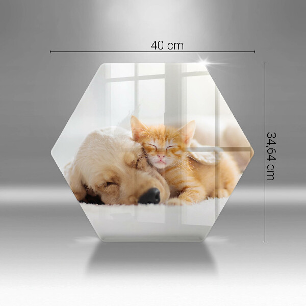 Kuchynská doska zo skla Zvieratá pes a mačka