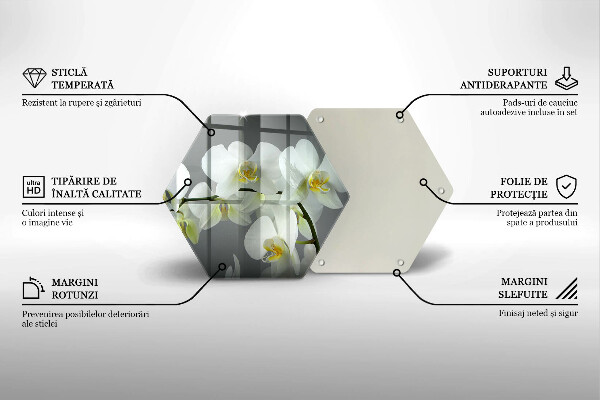 Kuchynská doska veľká zo skla Biele kvety orchideí