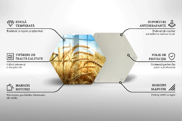Kuchynská doska veľká zo skla Klasy obilnín na poli