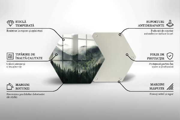 Kuchynská doska zo skla Krajina lesa a hmly