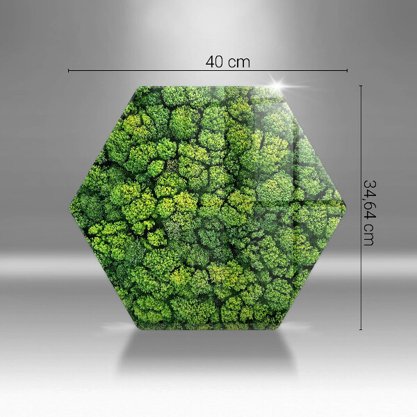 Kuchynská doska veľká zo skla Prírodná machová rastlina