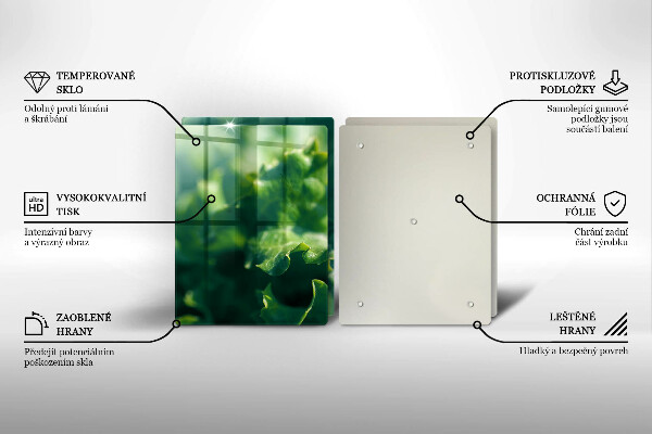 Sklo za varnú dosku Listy šalátu