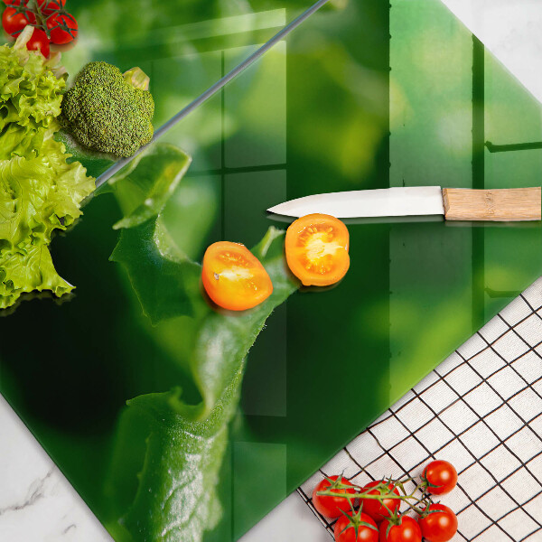 Sklo za varnú dosku Listy šalátu