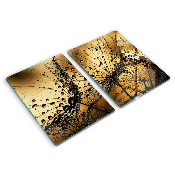 Sklo za varnú dosku Rosa a púpavy