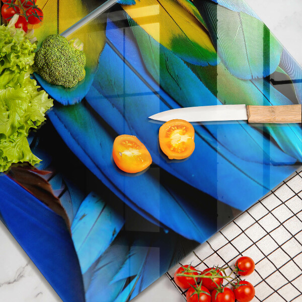 Sklo za varnú dosku Farebné papagájové perie