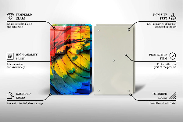 Sklo za varnú dosku Farebné papagájové perie