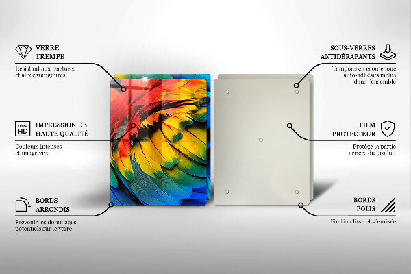 Sklo za varnú dosku Farebné papagájové perie