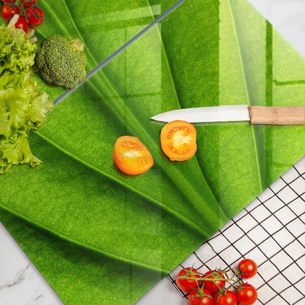 Sklo za varnú dosku Prírodný žilový list