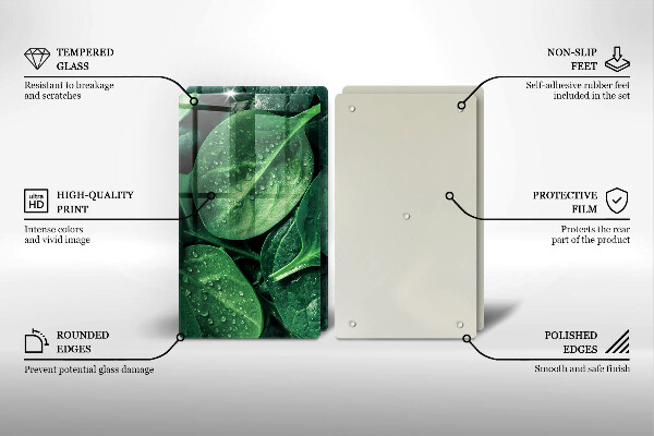 Sklo za varnú dosku Listy bazalky