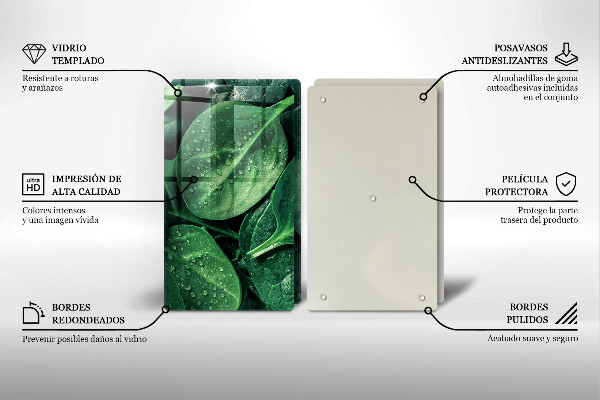 Sklo za varnú dosku Listy bazalky