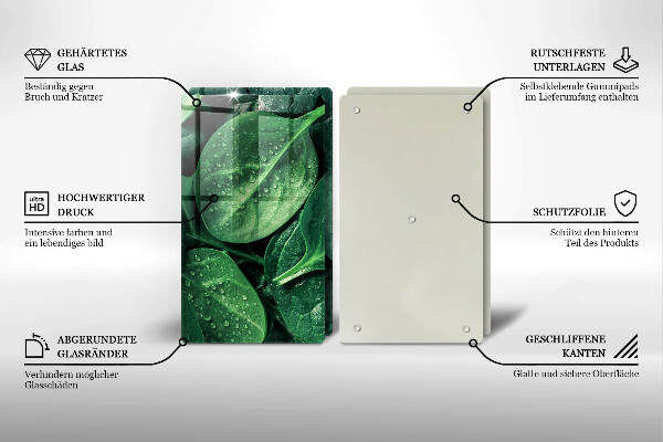 Sklo za varnú dosku Listy bazalky