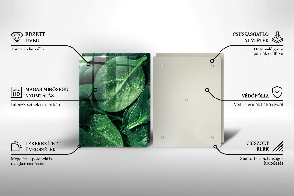 Sklo za varnú dosku Listy bazalky