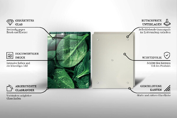 Sklo za varnú dosku Listy bazalky