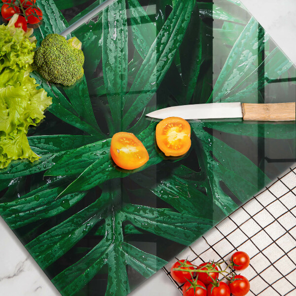 Sklo za varnú dosku Listy rastlín