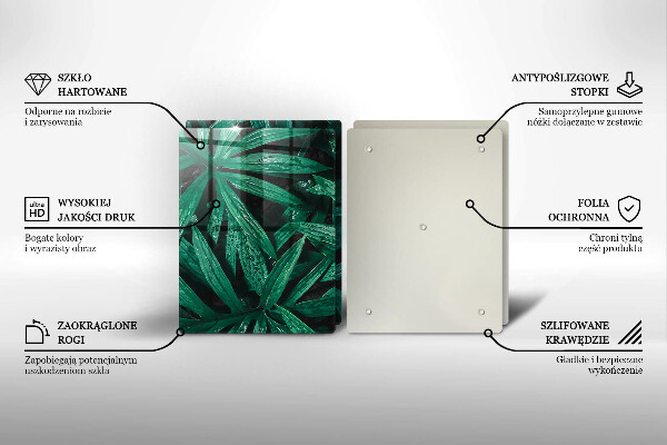 Sklo za varnú dosku Listy rastlín