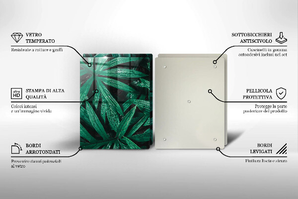 Sklo za varnú dosku Listy rastlín