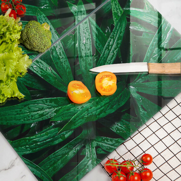Sklo za varnú dosku Listy rastlín