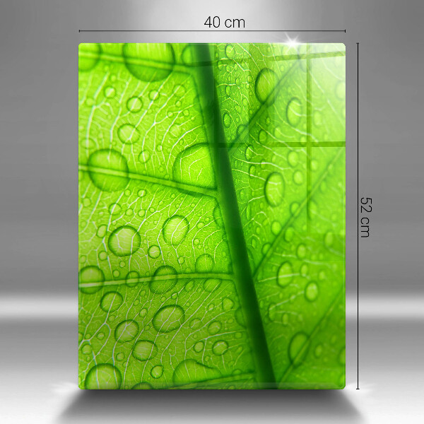 Kryt na sporák Detailný záber na list