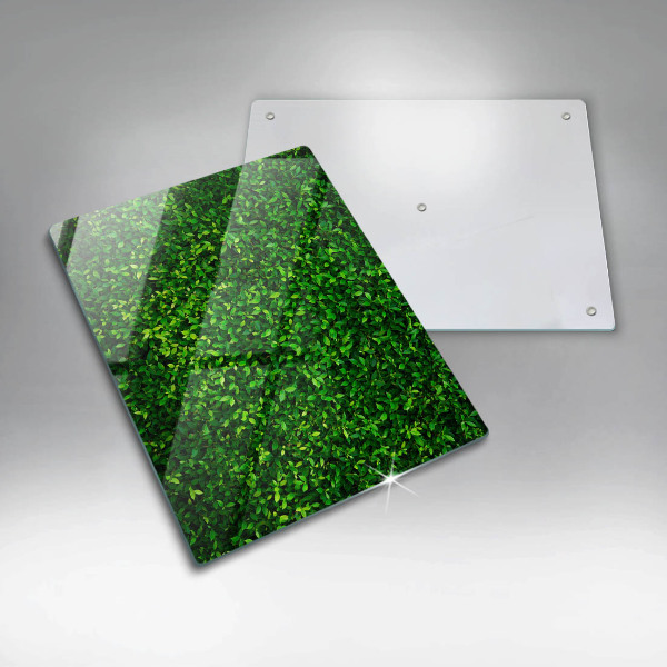 Kryt na sporák Rastlina s malými listami