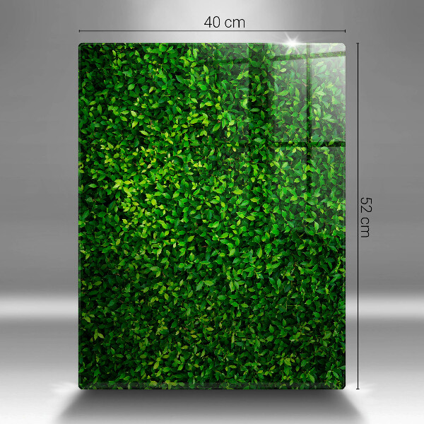 Kryt na sporák Rastlina s malými listami