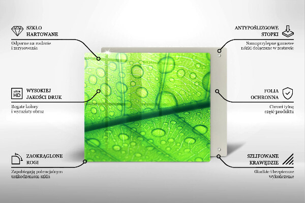 Sklo za varnú dosku Detailný záber na list