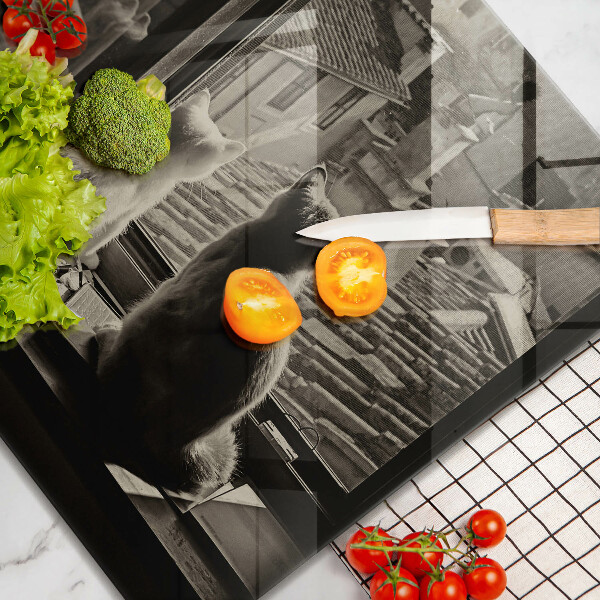 Kryt na indukčnú dosku Mesto mačky a okno