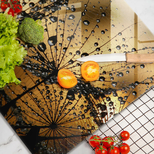 Sklo za varnú dosku Rosa a púpavy