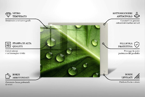 Sklo za varnú dosku Príroda rosa a list