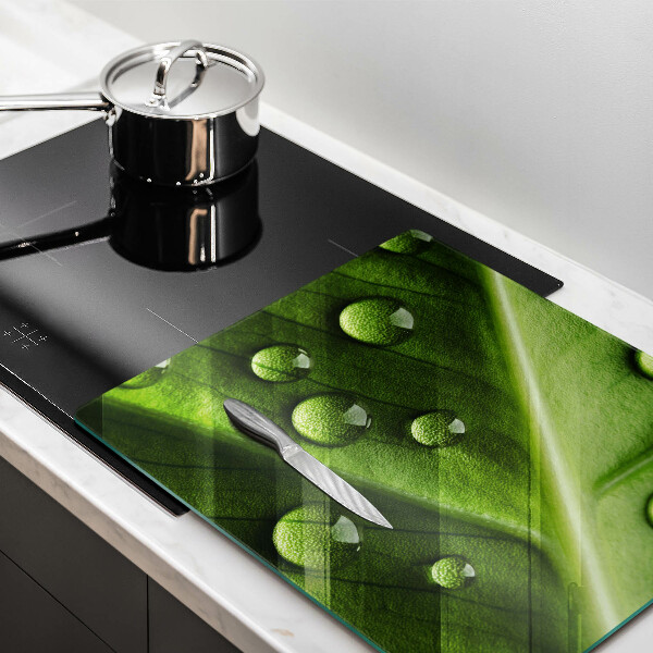 Sklo za varnú dosku Príroda rosa a list