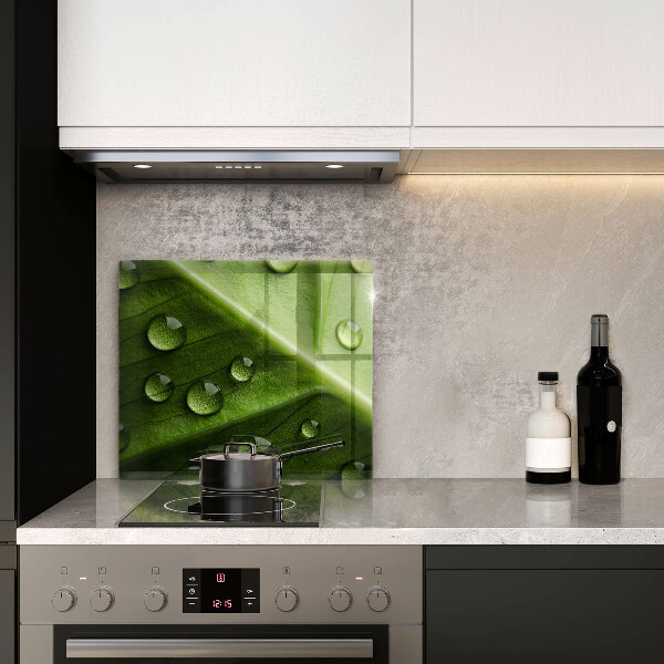 Sklo za varnú dosku Príroda rosa a list