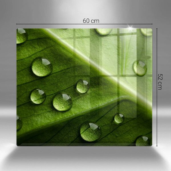 Sklo za varnú dosku Príroda rosa a list