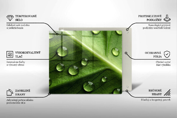 Sklo za varnú dosku Príroda rosa a list