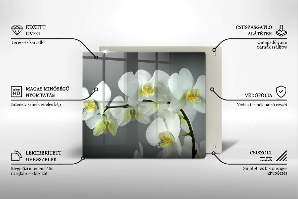 Sklo za varnú dosku Biele kvety orchideí