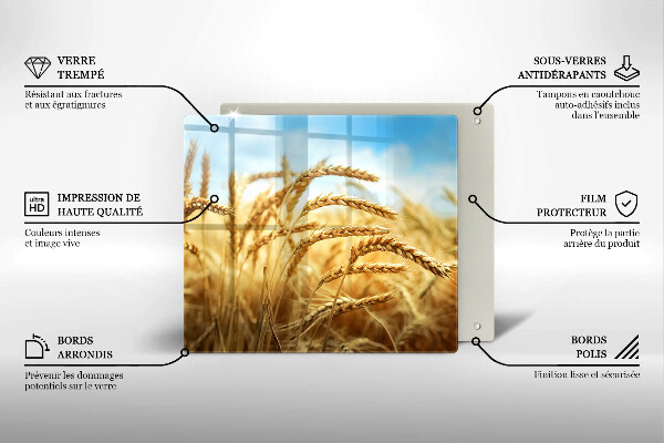 Kalené sklo za sporák Klasy obilnín na poli