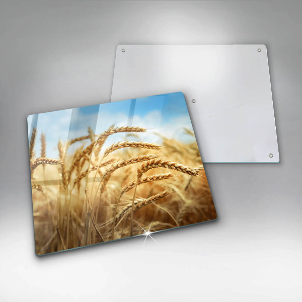 Kalené sklo za sporák Klasy obilnín na poli