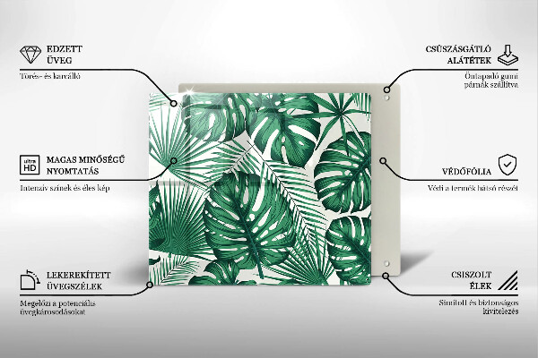 Sklo za varnú dosku Monstera odchádza