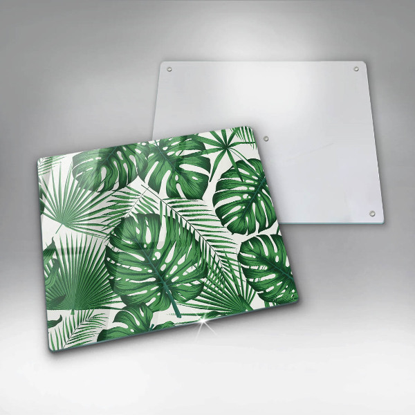 Sklo za varnú dosku Monstera odchádza