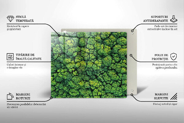 Sklo za varnú dosku Prírodná machová rastlina