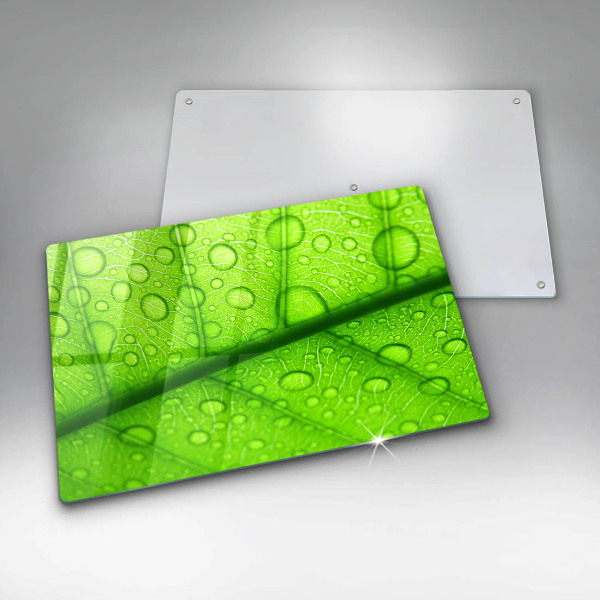 Sklenený kryt za sporák Detailný záber na list