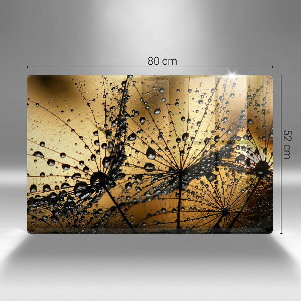 Sklo za varnú dosku Rosa a púpavy