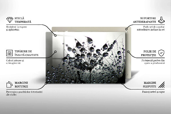 Sklo za varnú dosku Púpava a rosa