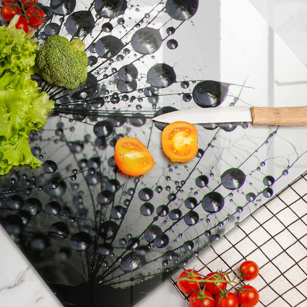 Sklo za varnú dosku Púpava a rosa