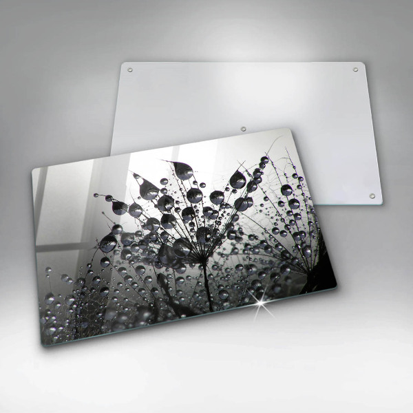 Sklo za varnú dosku Púpava a rosa