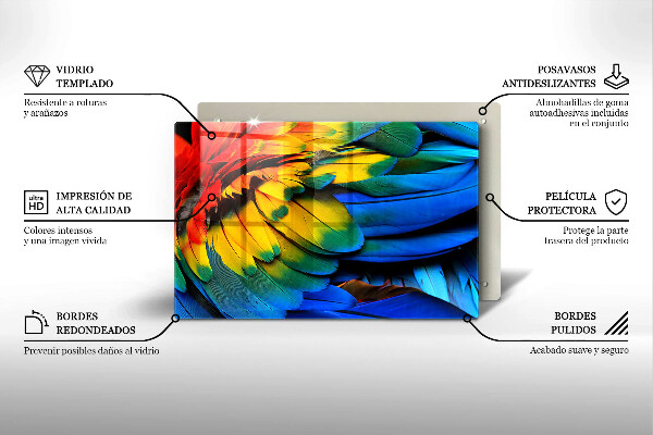 Kalené sklo za sporák Farebné papagájové perie