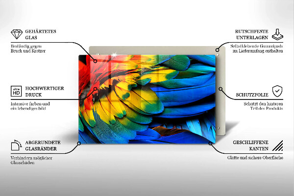 Kalené sklo za sporák Farebné papagájové perie