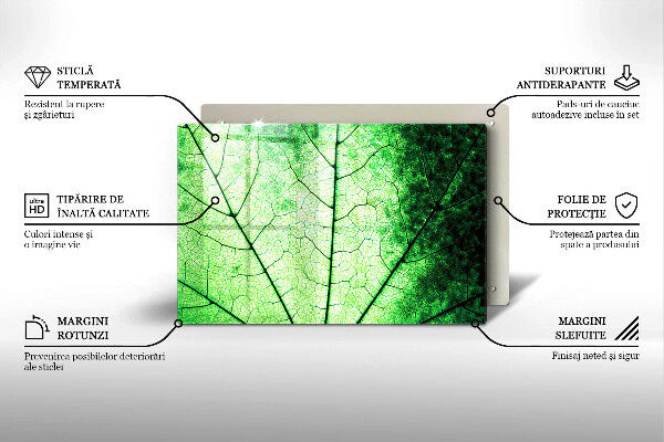 Sklo za varnú dosku Ozdobný žilový list