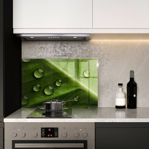 Sklo za varnú dosku Príroda rosa a list