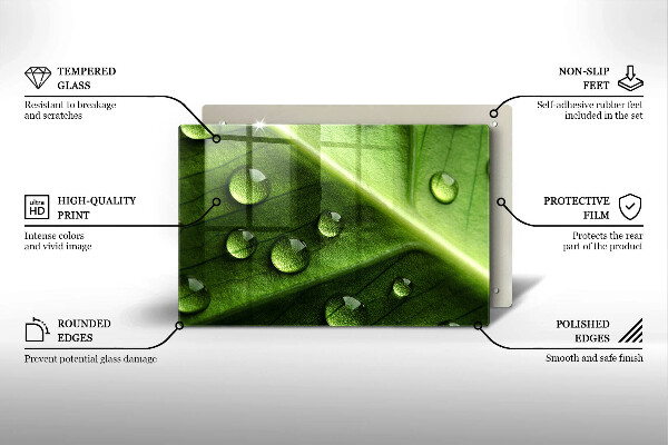 Sklo za varnú dosku Príroda rosa a list