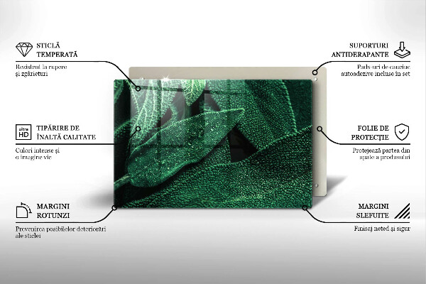 Kryt na indukčnú dosku Listy rastliny