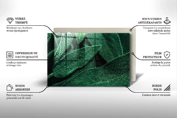 Kryt na indukčnú dosku Listy rastliny